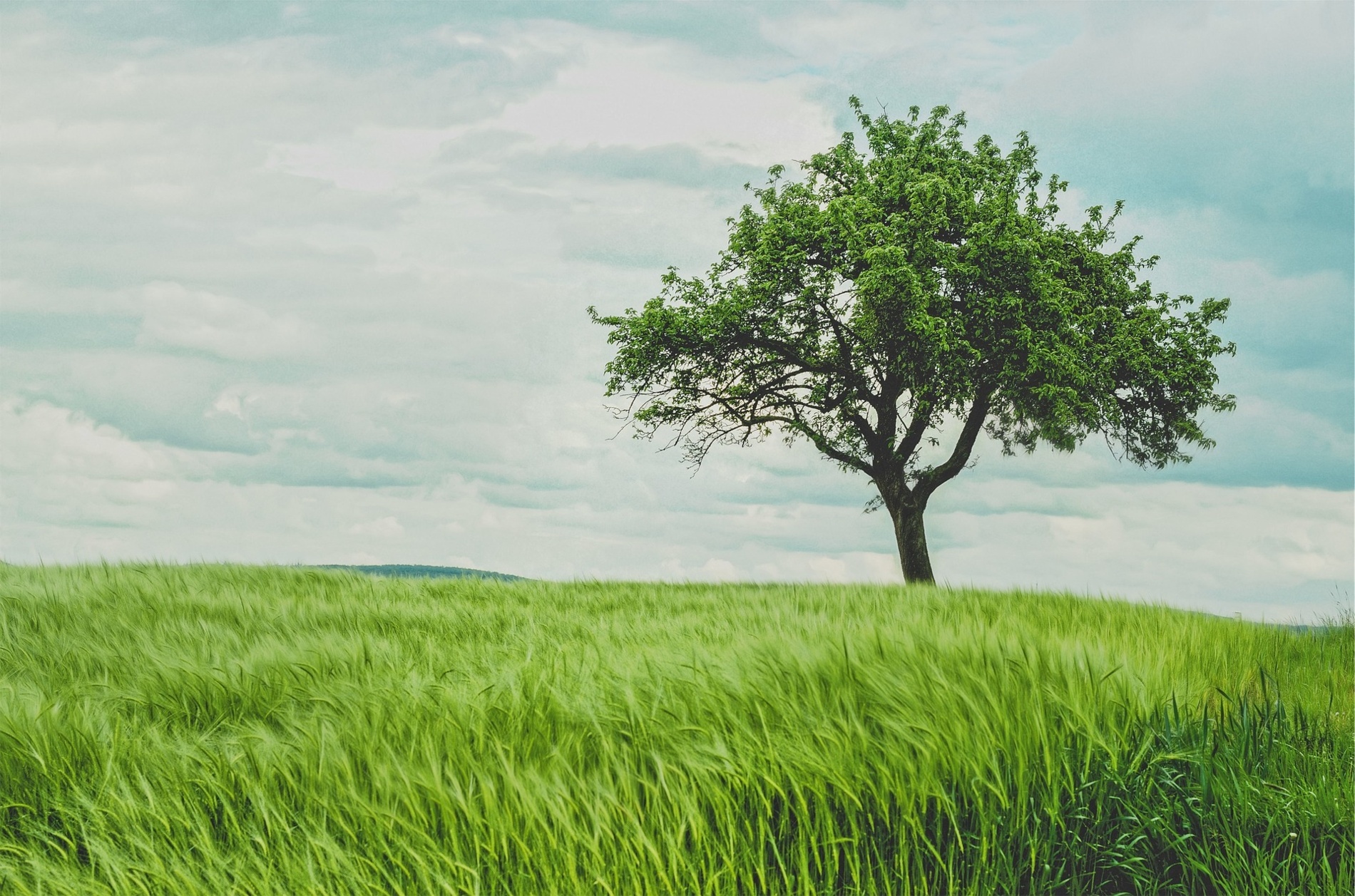 Recherche de terrain : 7 conseils pour réussir