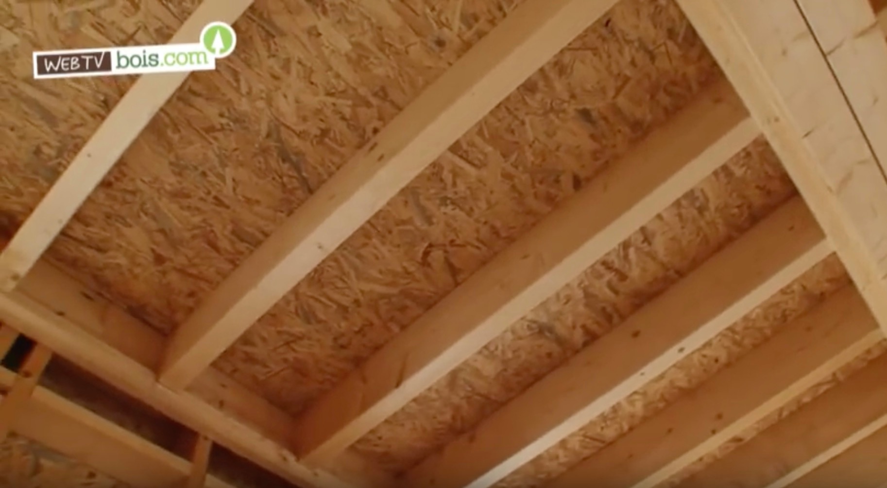 [Vidéo] Maison ossature bois : Quels avantages ?