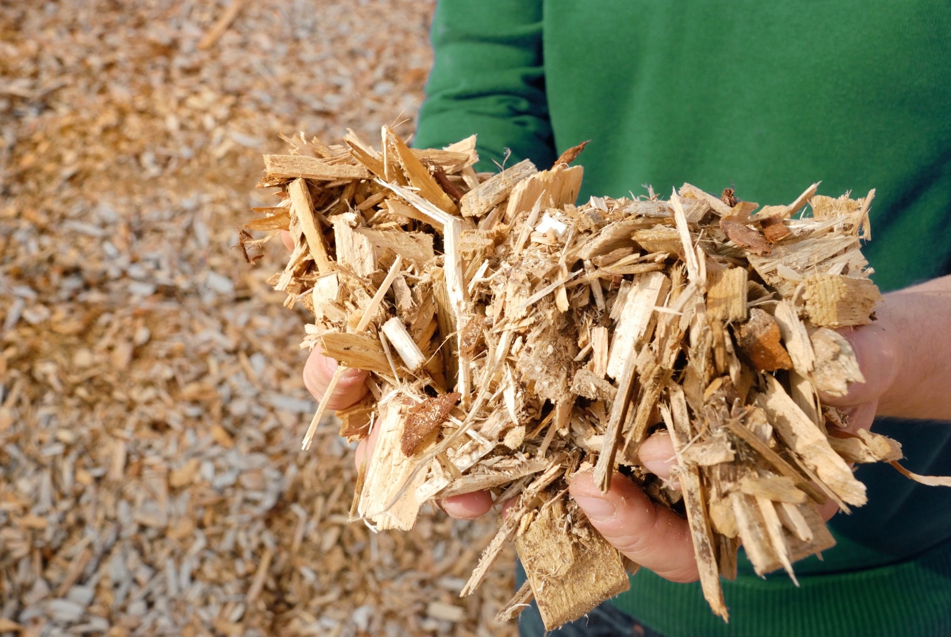 Les avantages environnementaux du bois