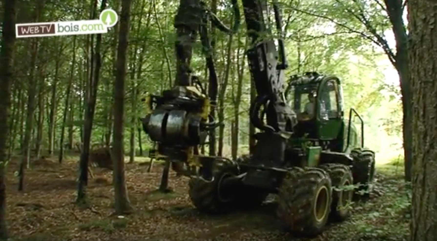 [Vidéo] Exploitant forestier - Le métier