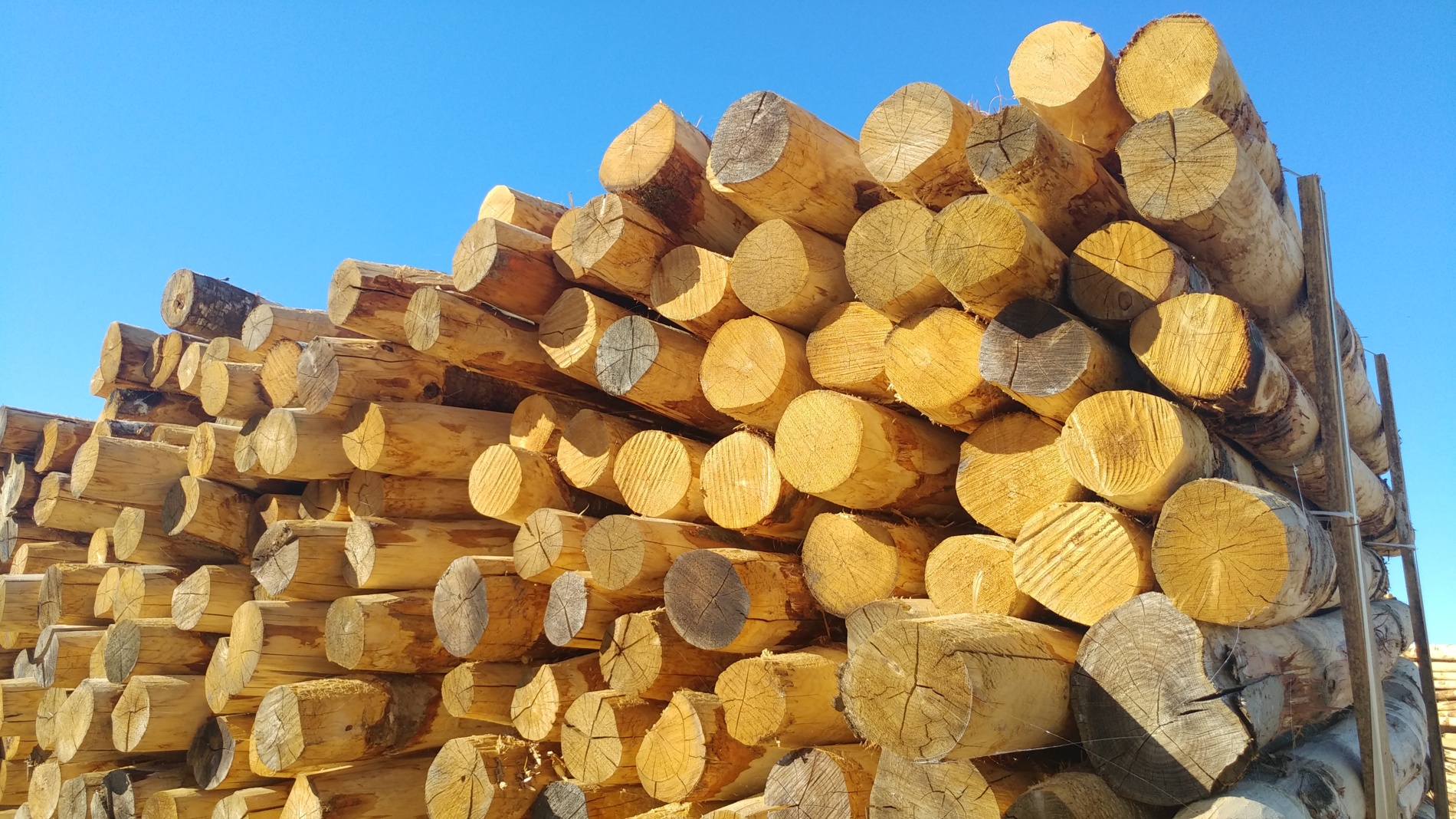 Les produits à base de bois, pour tous les usages dans le bâtiment