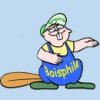 Boisphile