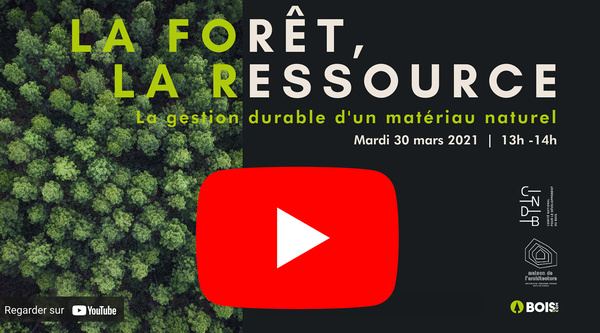 Si vous étiez absents, découvrez dès maintenant le replay de notre webinar "La forêt, la ressource" réalisé avec le CNDB et la Maison de l'Architecture Île-de-France.