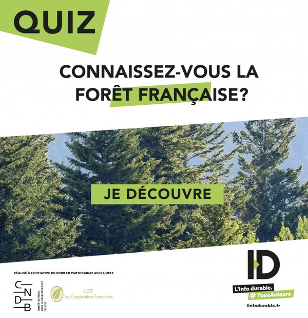 Le bois est plébiscité en tant que matière durable mais, pour autant, l’exploitation de nos forêts interroge. Il faut dire que les Français ont la passion des forêts, mais les connaissent-ils vraiment ? Pas si sûr.