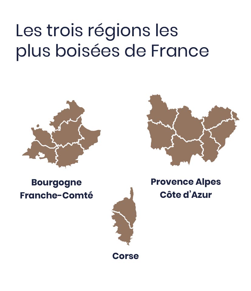 Les trois régions les  plus boisées de France