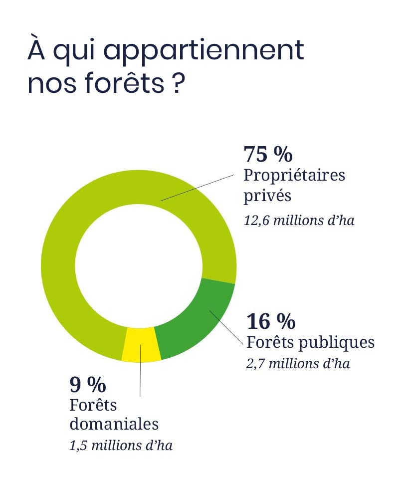 À qui appartiennent  nos forêts ?