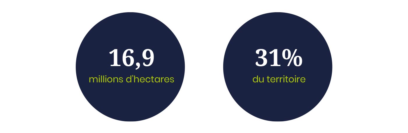 Les forêts françaises représentent 16,9 millions d'hectares et 31% du territoire.