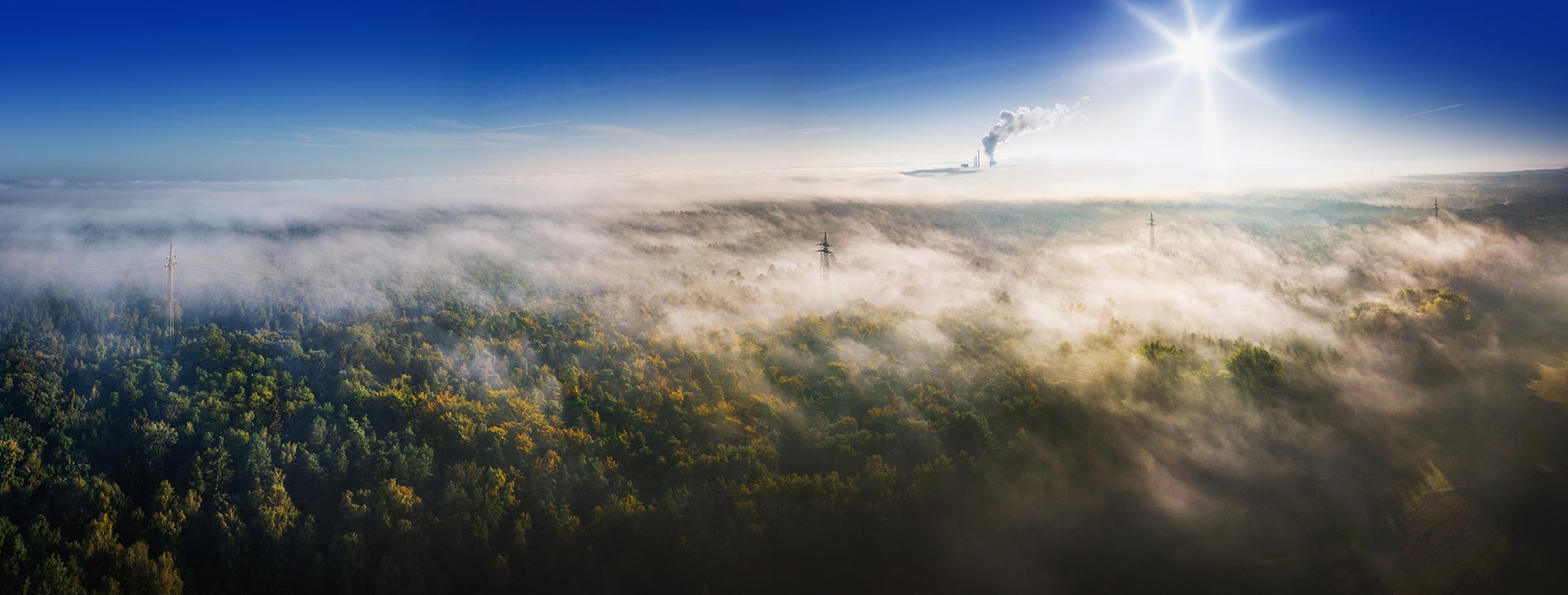 Une forêt vue du ciel