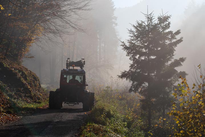 Exploitant forestier au travail