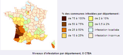 Visuel de la carte de France représentant l'avancée des termites