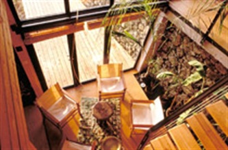 Visuel d'un petit jardin d'hiver s'ouvrant sur une terrasse
