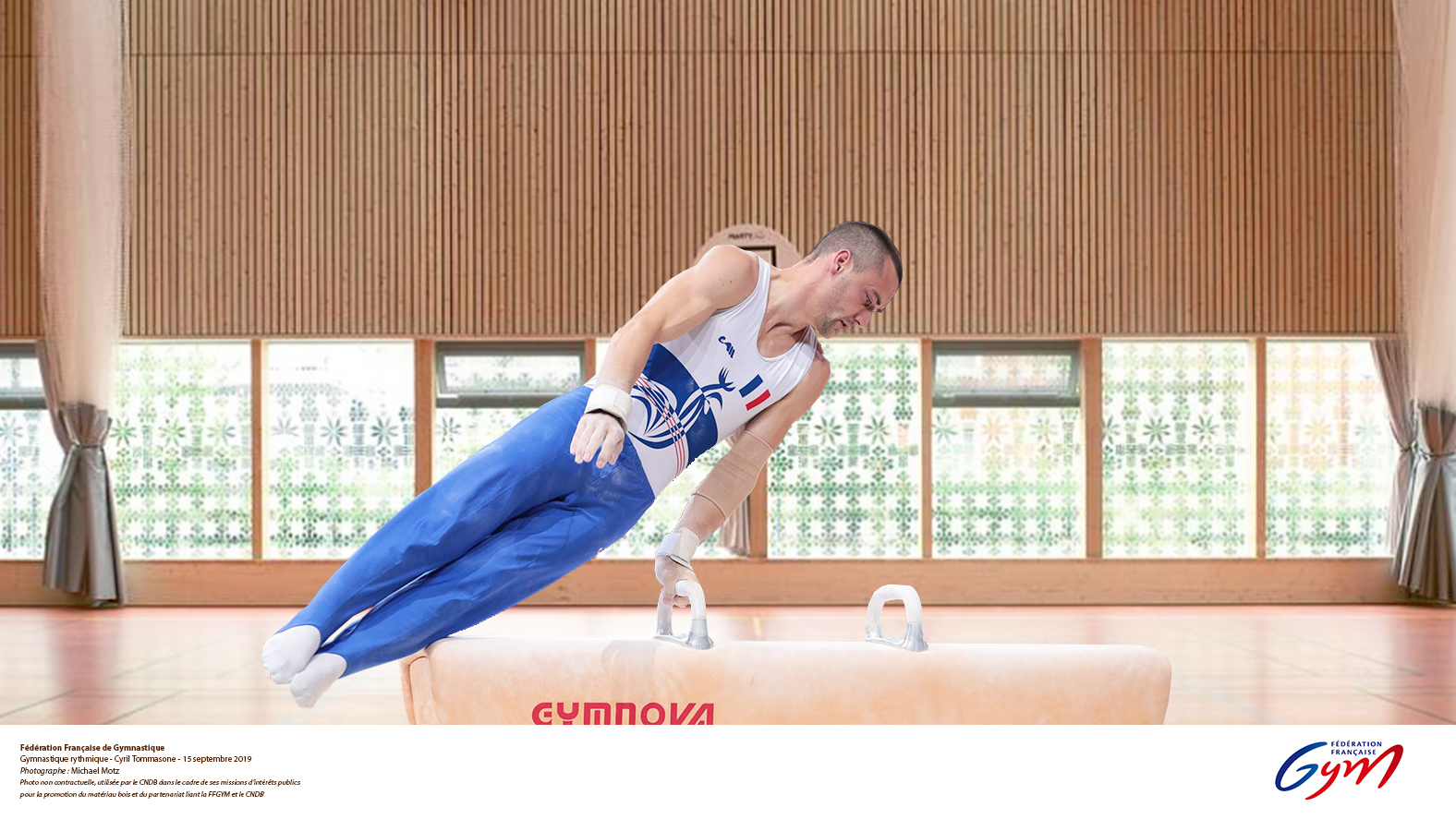 Bois et sport
