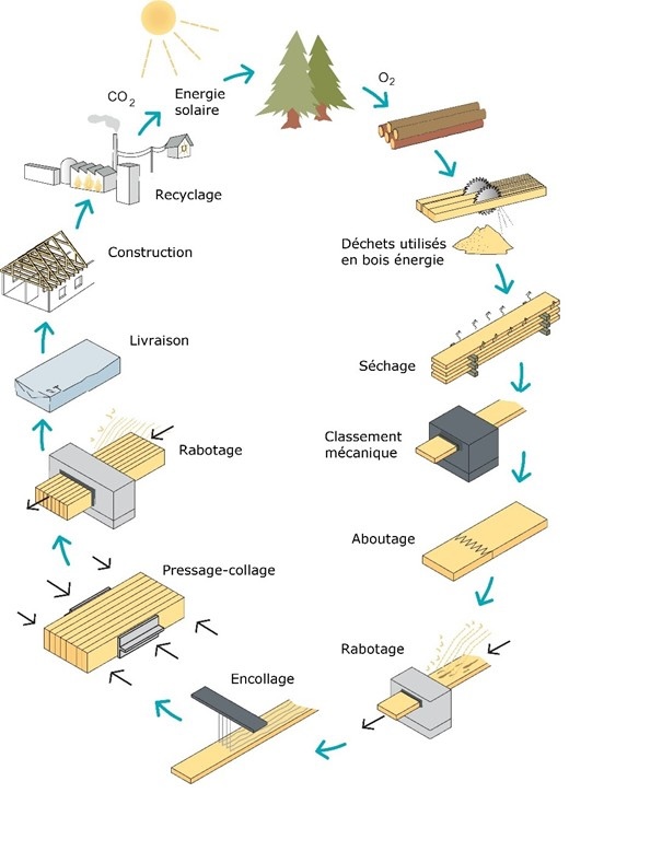 Process de fabrication du bois lamellé collé