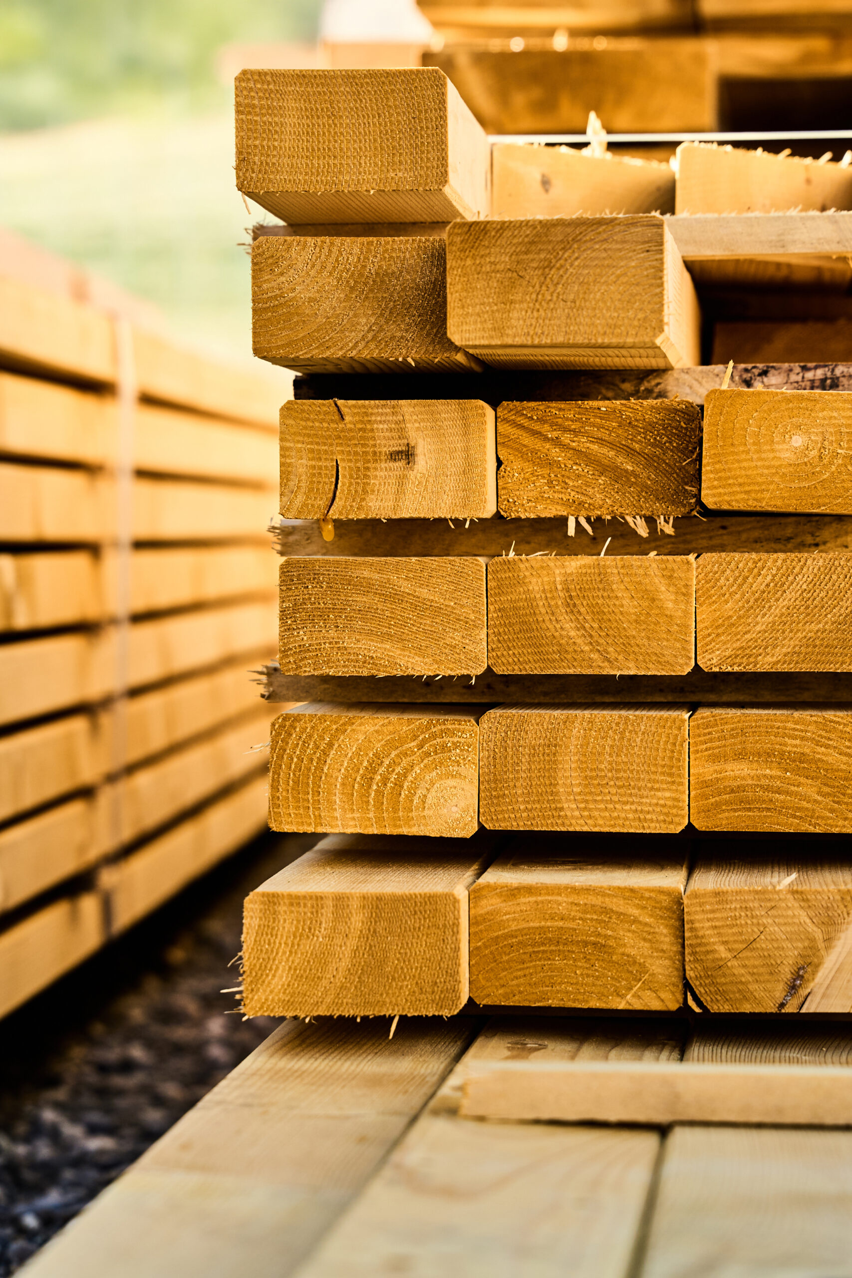 Pourquoi le bois