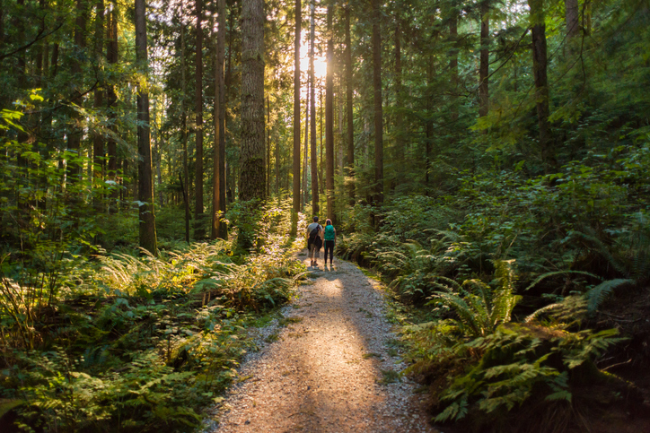 Vivre la forêt