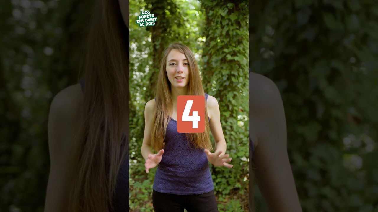 5 gestes pour préserver la forêt et sa biodiversité