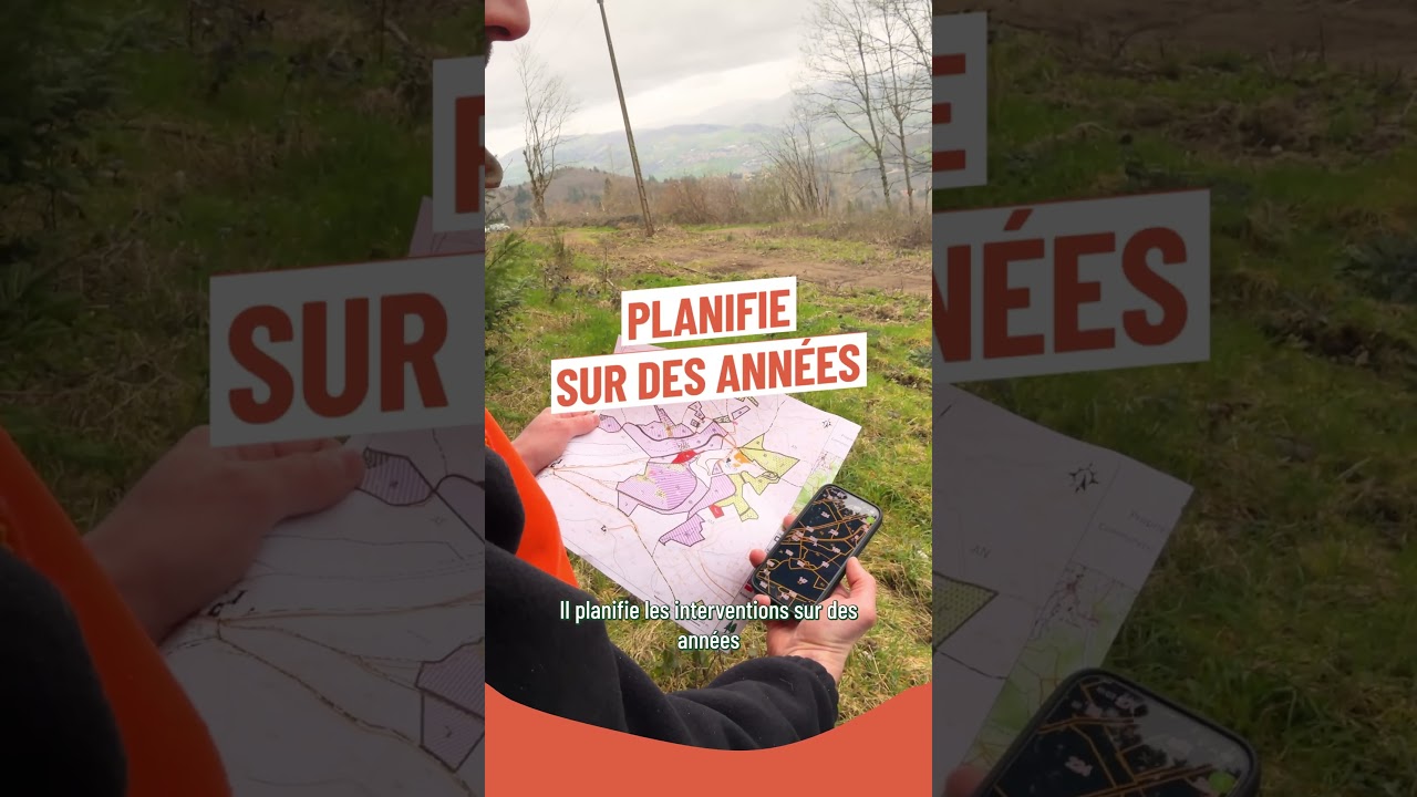 Le gestionnaire forestier : pilier de la filière forêt-bois