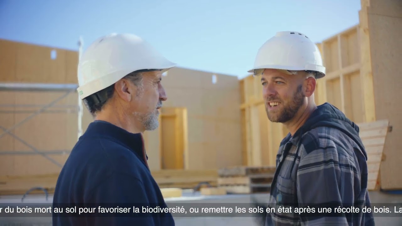 Savez-vous que la forêt et le bois contribuent à la décarbonation ?