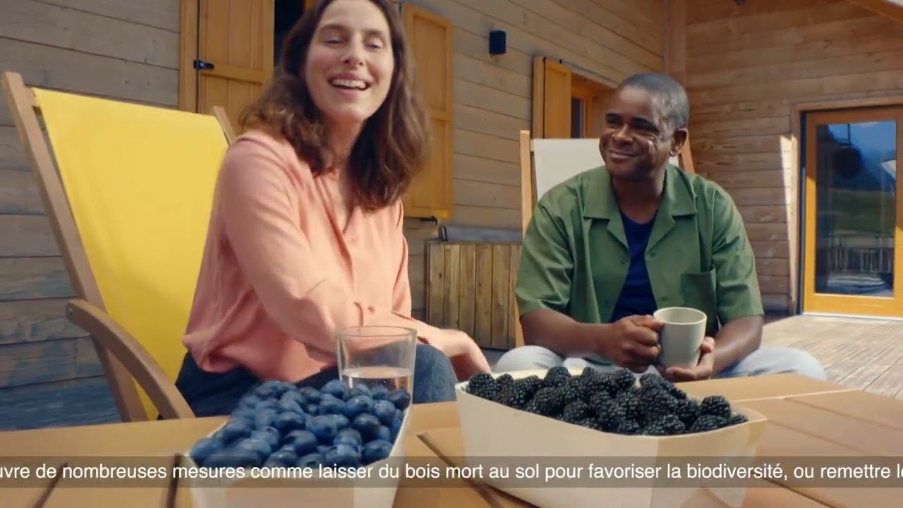 Gestion des forêts et usages du bois pour décarboner