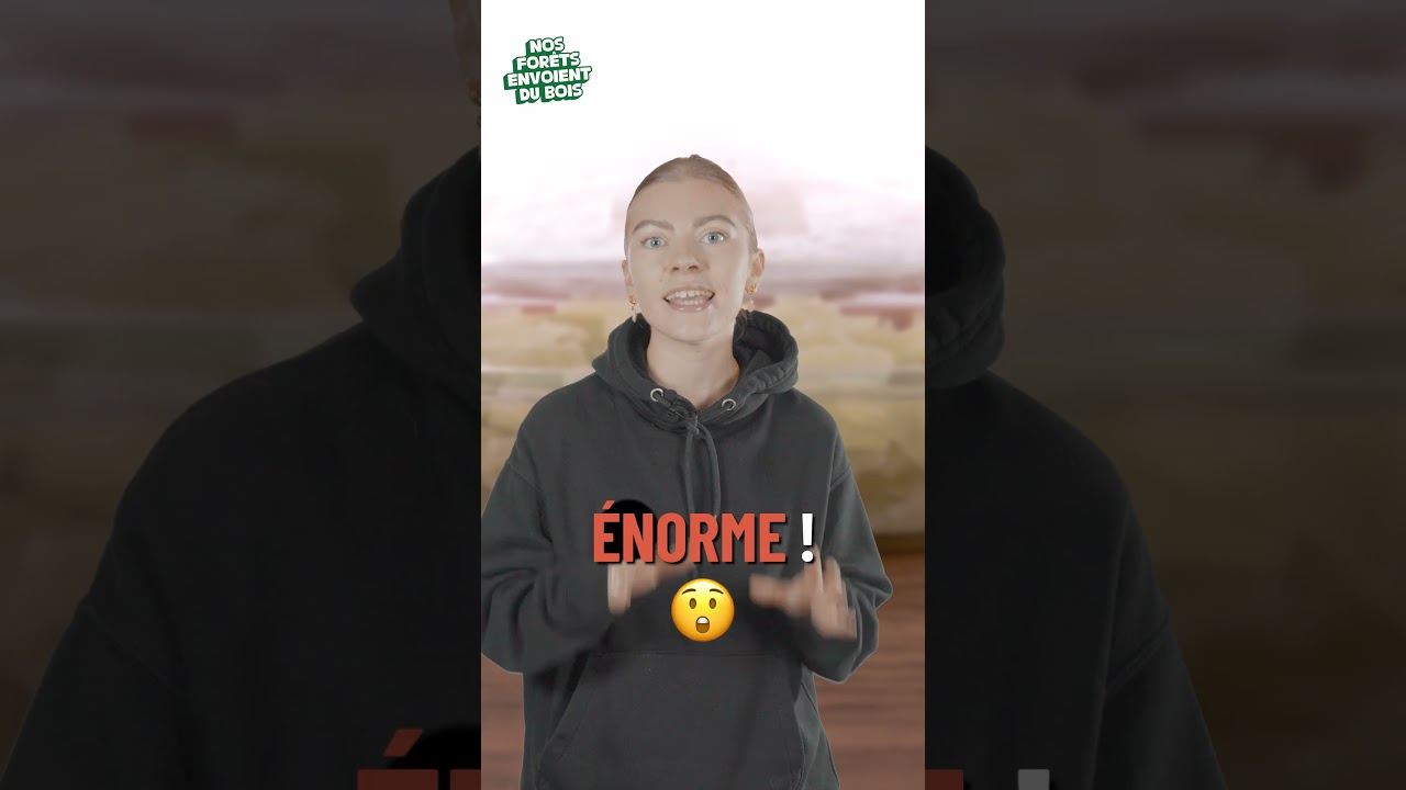 L'emballage en bois : la solution anti-gaspillage ?