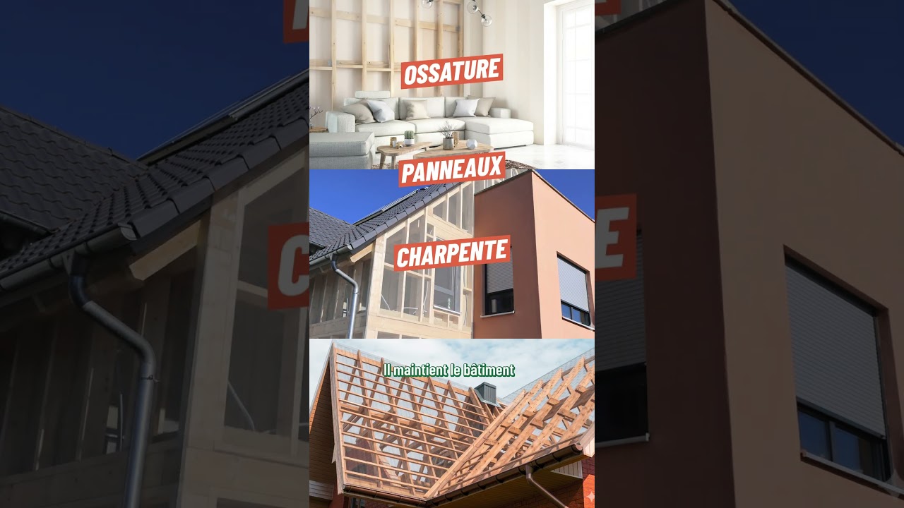 Bois dans la construction : présent du sol au plafond