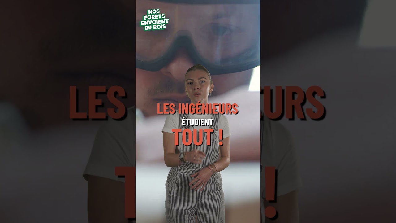 Le bois en construction : tests, résistance et avenir