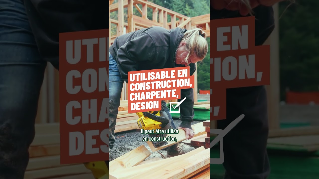 Reconnaître les essences de bois : couleur, grain, odeur