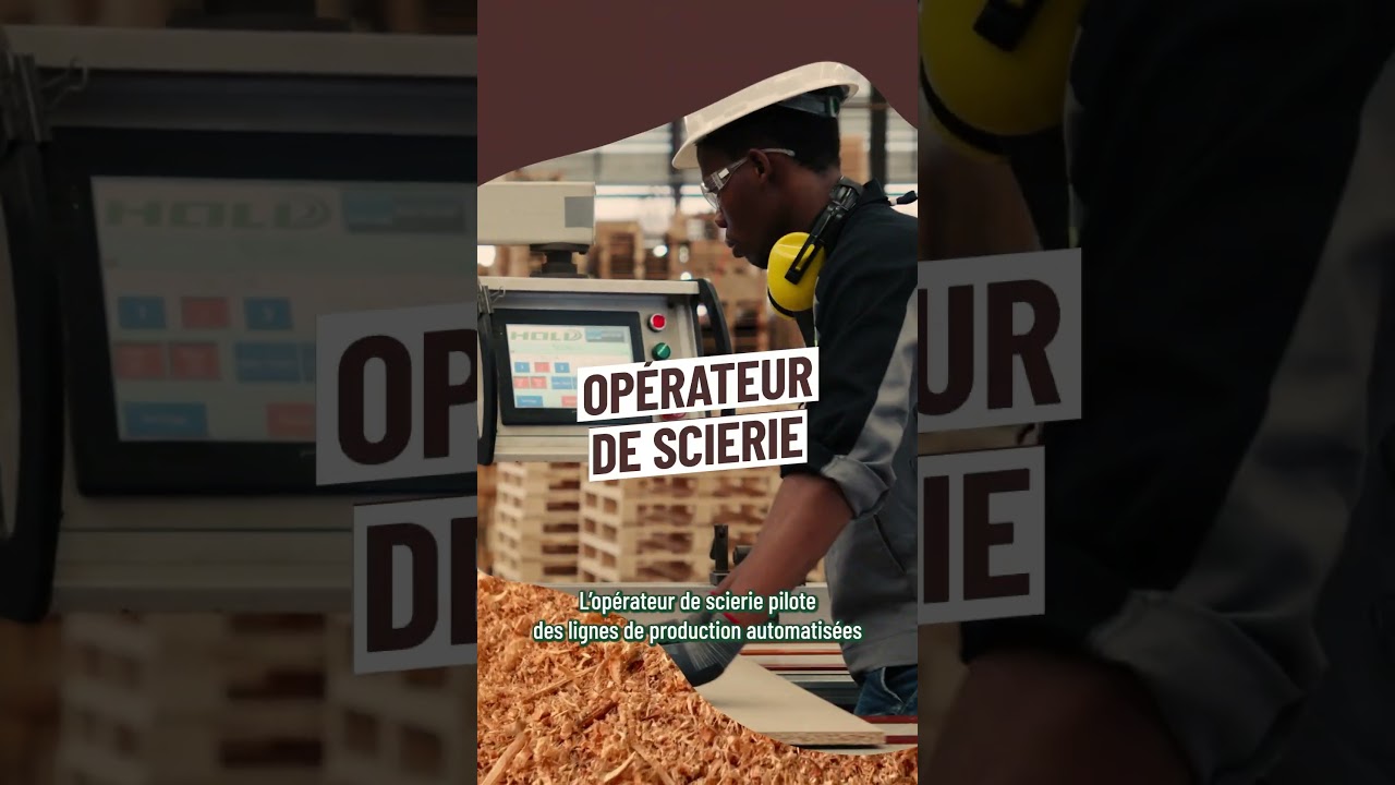 Filière forêt-bois : des métiers aussi variés que captivants