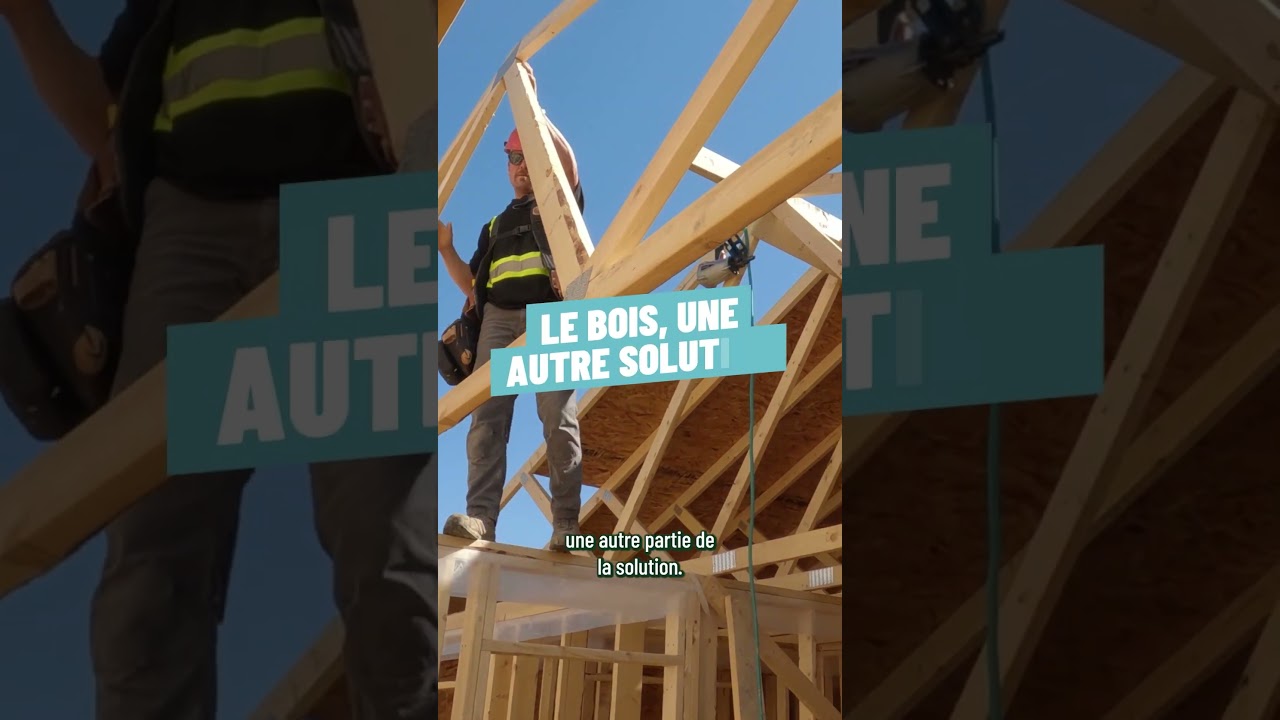 Forêt française : les solutions face au changement climatique