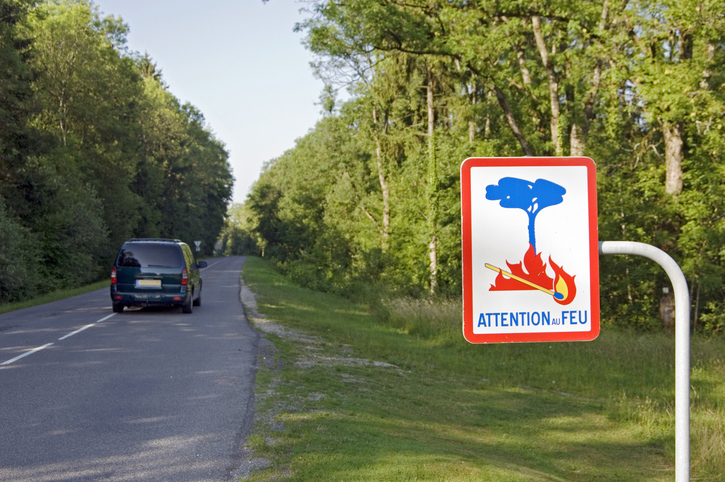 Feu de forêt